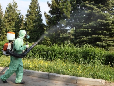 Уничтожение комаров в Звенигороде